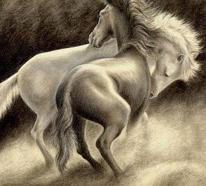 examen curso internet